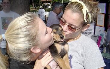 Two Gals Kissing Puppy